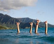 Image result for Shaka Sign