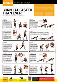 Image result for Men Bodybuilding Workout Routines