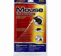 Image result for Mouse Glue Boards