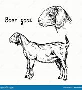 Image result for Boer Goat Cartoon