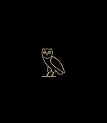 Image result for Drake Owl