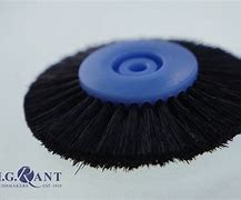 Image result for Rotary Bristle Brush