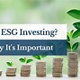 Image result for What Is ESG Investing