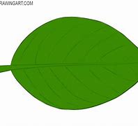 Image result for Draw Leaf