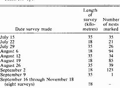 Image result for Turtle Growth Chart