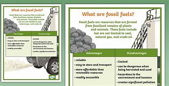 Image result for Bio Fuels Poster