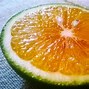 Image result for Citrus Limetta