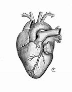 Image result for Picture Drawing Heart Side