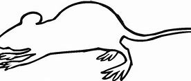 Image result for Mad Rat Outline