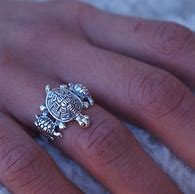 Image result for Turtle Age Ring