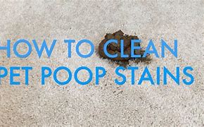 Image result for Poop Stains Pants