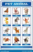 Image result for Cat Pet Chart