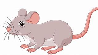 Image result for Cute Animated Mice