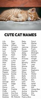 Image result for tabby cat kitten names