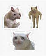 Image result for Really Cat Meme