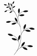 Image result for Leaf Colka Design