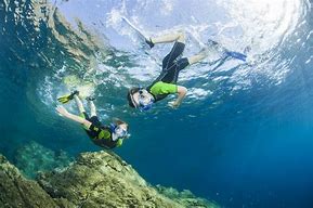 Image result for Scuba Snorkel