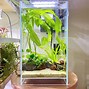 Image result for Aquarium Full of Flowers