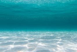 Image result for Ocean Floor Texture