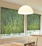 Image result for Printed Window Roller Shades