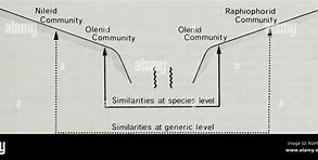 Image result for Pelagic Sediment