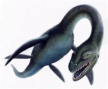 Image result for Loch Ness Monster Fossil