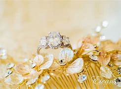 Image result for Wedding Photographer Questions to Ask Client