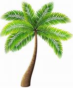 Image result for Palm Images Clip Art