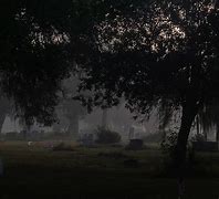 Image result for Foggy Graveyard