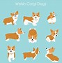 Image result for Animated Corgi