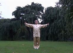 Image result for Peng Qi Guan Ding Qigong