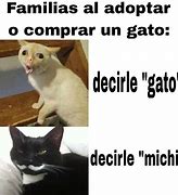 Image result for Michi Meme