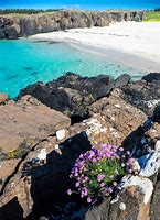 Image result for Scotland Beach