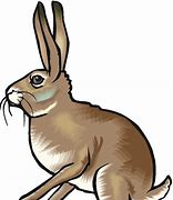 Image result for Free Resizable Clip Art Hare