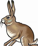 Image result for Disinterested Hare Clip Art