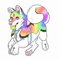 Image result for Rainbow Husky