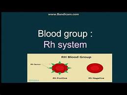 Image result for RH Blood Group System