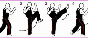 Image result for Front Kick