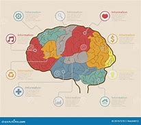 Image result for Science Elements with Brain Image