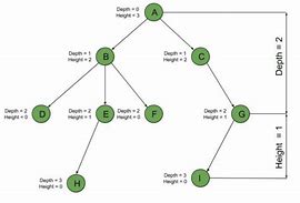 Image result for Depth of a Tree