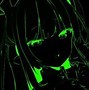 Image result for Green Anime PFP