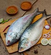 Image result for Pidlayan Fish