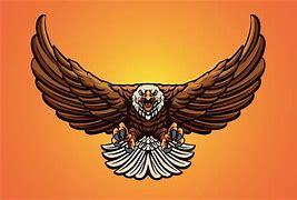 Image result for Eagle Flying Top View