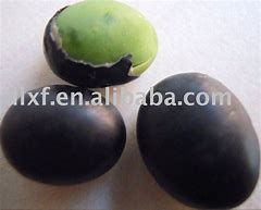 Image result for Black Bean Bio Green