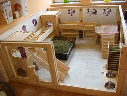 Image result for Indoor Bunny House