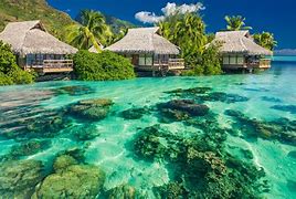 Image result for Sea Trip