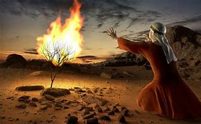 Image result for moses burning bush