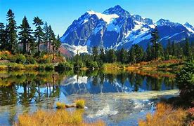 Image result for Mountain Forest Scenery