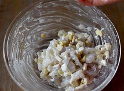 Image result for Har Gow Dim Sum