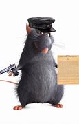 Image result for Held Rat Meme